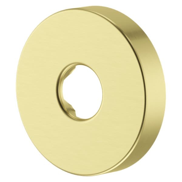 Pfister Shower Arm Flange